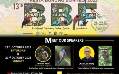 Borneo Bird Festival 2023 – Sabah (21 & 22 Oct, 2023)